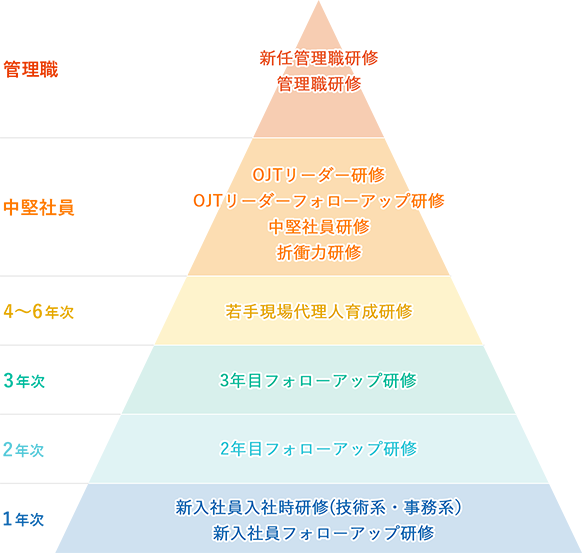 階層別研修プログラム