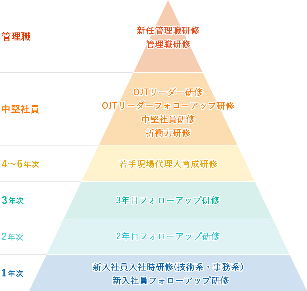 階層別研修プログラム
